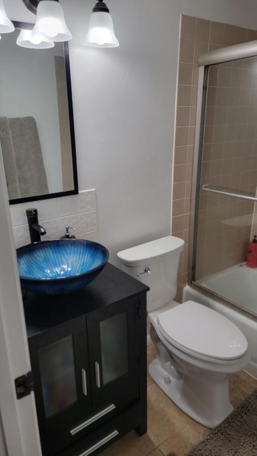 Entire One Bedroom Apartment Анъндейл Екстериор снимка
